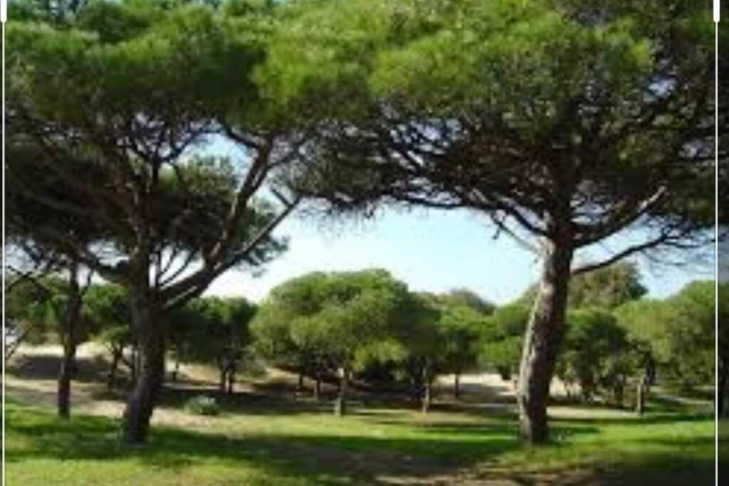 דירות רוטה Acogedor Apartamento A 100 M. De Pinares Y Playa מראה חיצוני תמונה