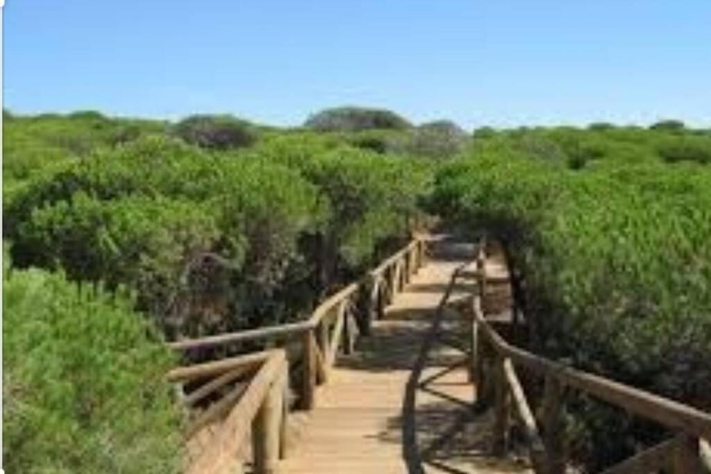 דירות רוטה Acogedor Apartamento A 100 M. De Pinares Y Playa מראה חיצוני תמונה