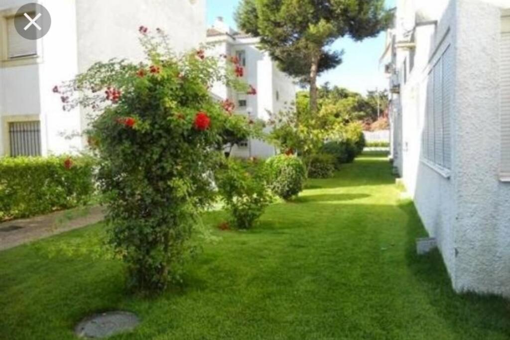 דירות רוטה Acogedor Apartamento A 100 M. De Pinares Y Playa מראה חיצוני תמונה