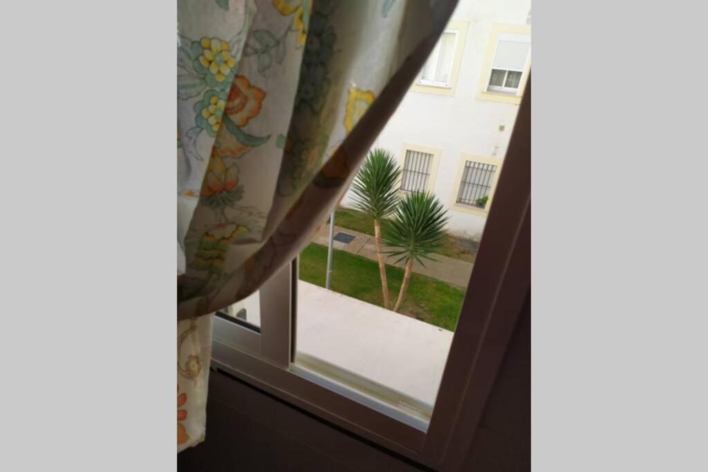 דירות רוטה Acogedor Apartamento A 100 M. De Pinares Y Playa מראה חיצוני תמונה
