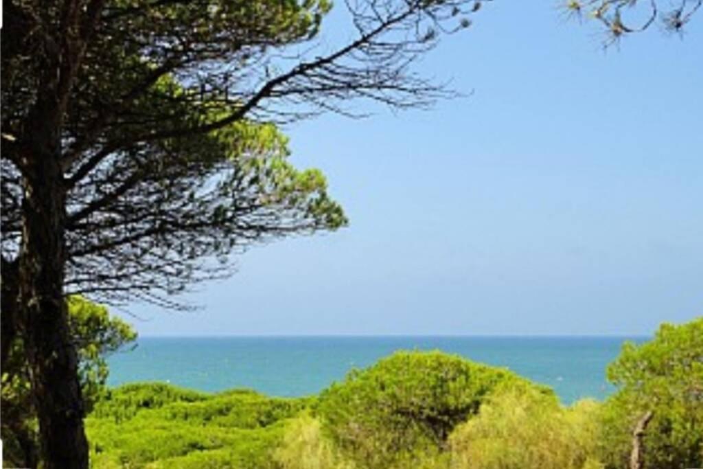 דירות רוטה Acogedor Apartamento A 100 M. De Pinares Y Playa מראה חיצוני תמונה