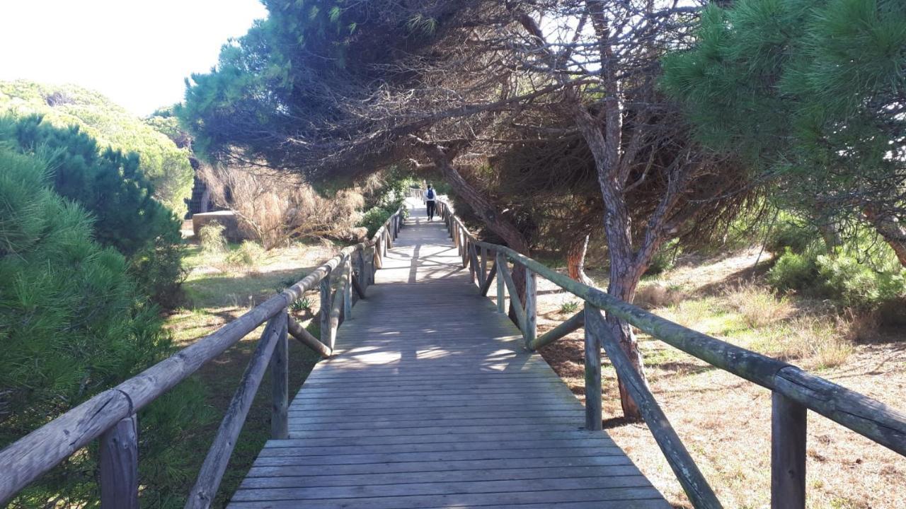 דירות רוטה Acogedor Apartamento A 100 M. De Pinares Y Playa מראה חיצוני תמונה
