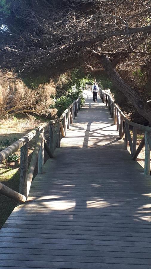דירות רוטה Acogedor Apartamento A 100 M. De Pinares Y Playa מראה חיצוני תמונה