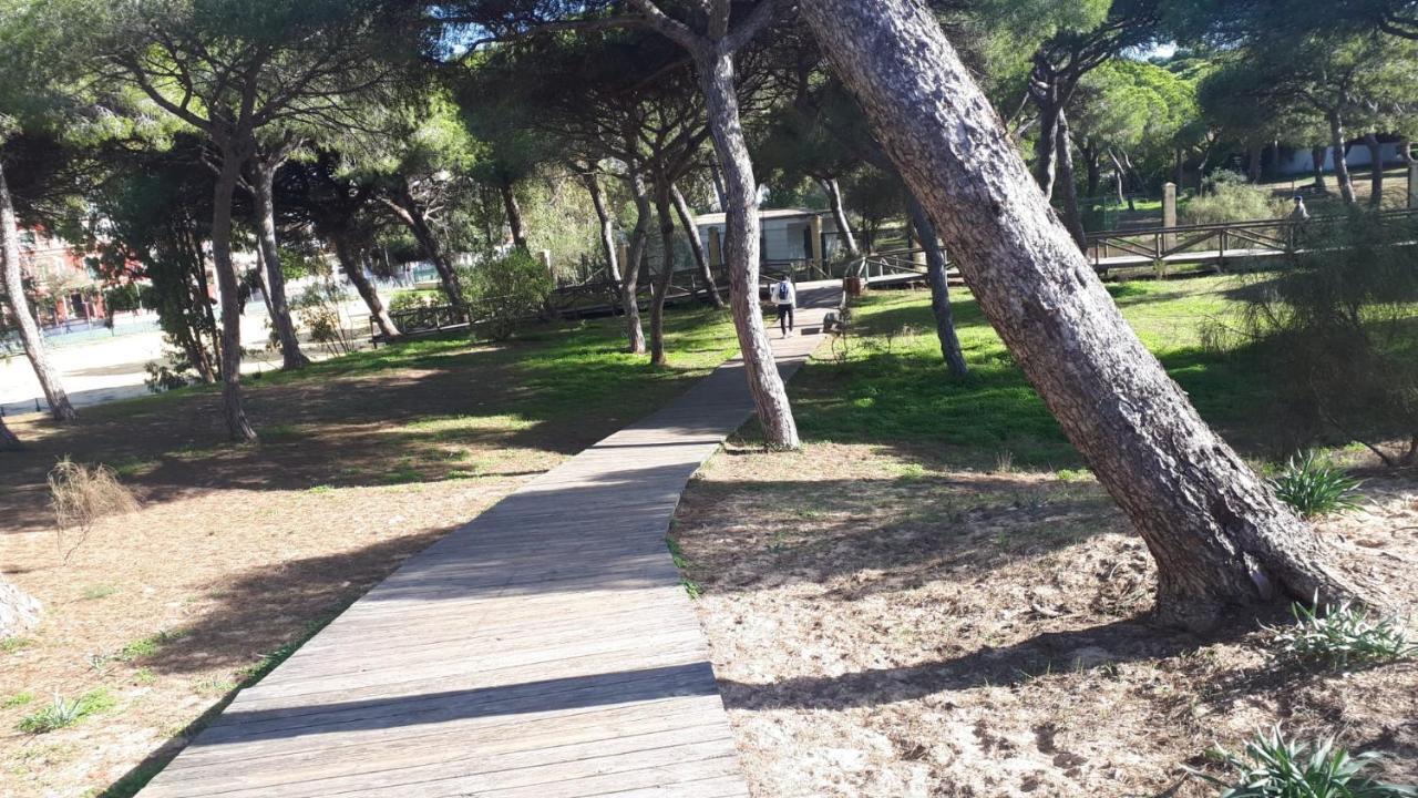 דירות רוטה Acogedor Apartamento A 100 M. De Pinares Y Playa מראה חיצוני תמונה