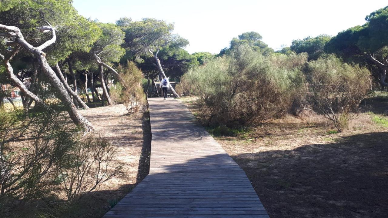 דירות רוטה Acogedor Apartamento A 100 M. De Pinares Y Playa מראה חיצוני תמונה