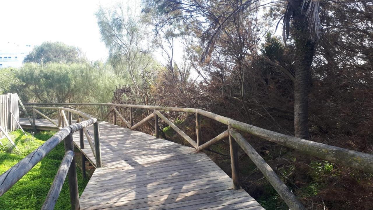 דירות רוטה Acogedor Apartamento A 100 M. De Pinares Y Playa מראה חיצוני תמונה